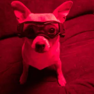 Review by Jason M. Austin, TX